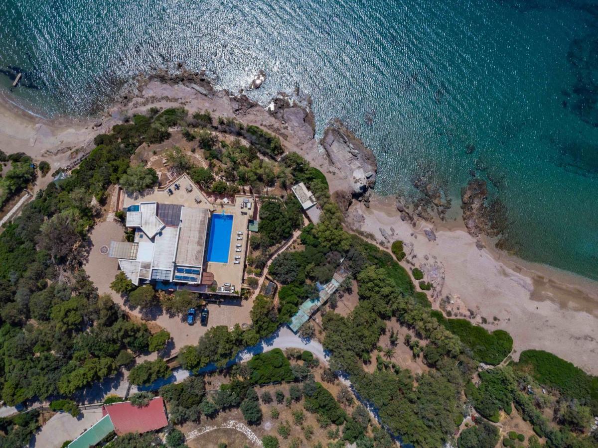 Black Diamond Beachfront Pool Villa Pasithea In Sounio, Athens Szúnio Kültér fotó