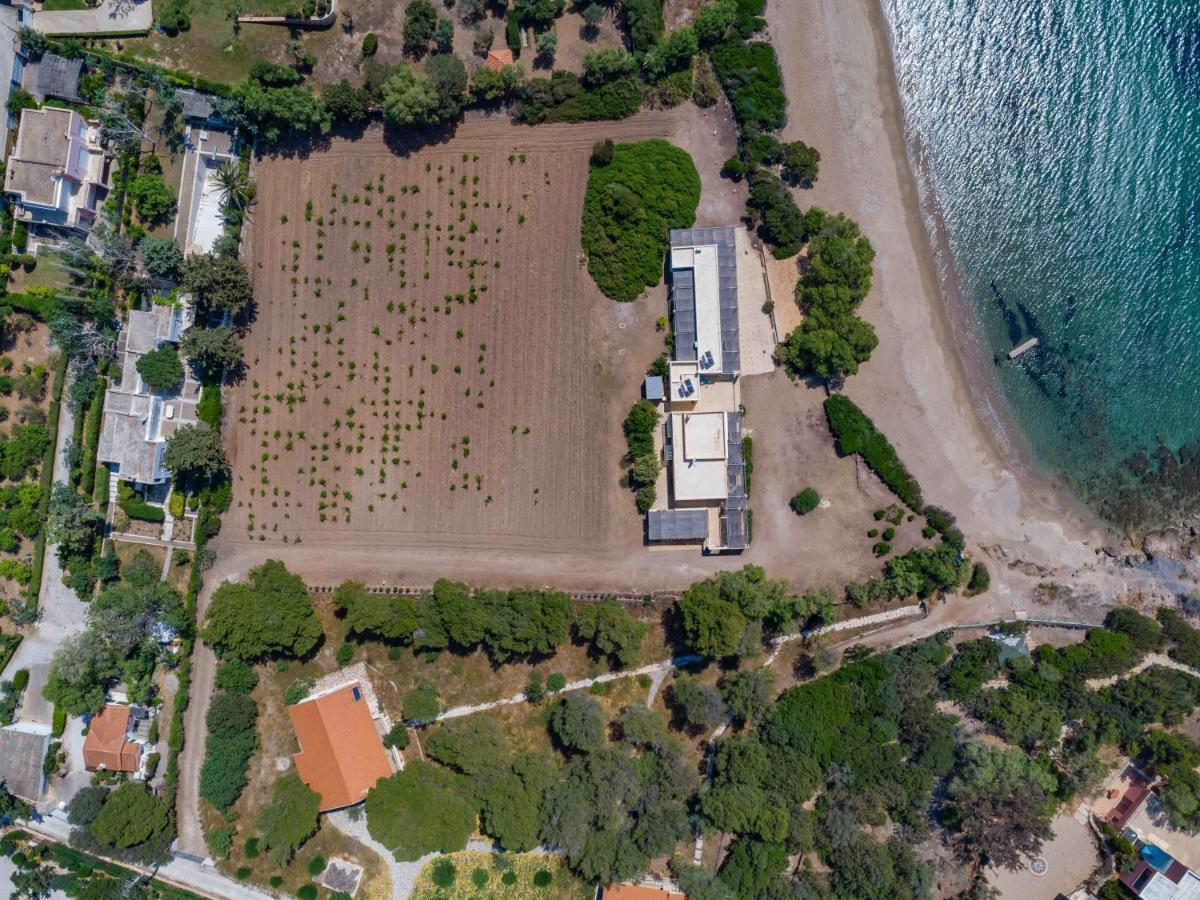 Black Diamond Beachfront Pool Villa Pasithea In Sounio, Athens Szúnio Kültér fotó